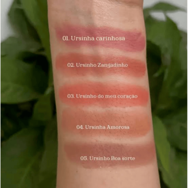 Blush Terra do Carinho Ursinhos Carinhosos Dalla Makeup - Image 4